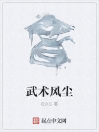 武术风尘完整版